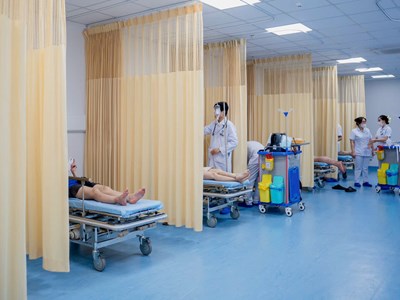 Kịp thời xử trí 8 ca bị ong vò vẽ đốt, bác sĩ khuyến cáo không chủ quan 