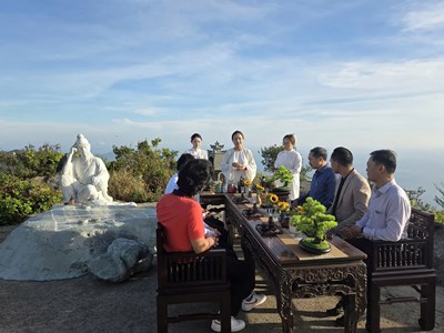 Ra mắt tour thưởng trà trên đỉnh Bàn Cờ, lan tỏa văn hóa trà Việt