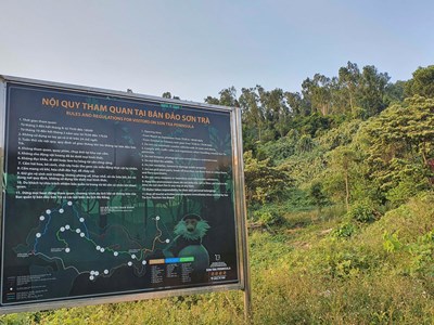 Đến bán đảo Sơn Trà, đừng vượt biển cấm!