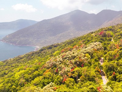 Khuyến cáo không tham gia tour trekking trái phép tại Sơn Trà