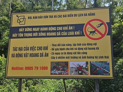 Nghiêm cấm cho động vật hoang dã ăn tại bán đảo Sơn Trà