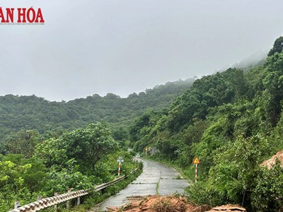 Cảnh báo nguy cơ mất an toàn khi tham quan bán đảo Sơn Trà trong thời tiết xấu