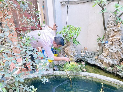  Hai người mắc liên cầu lợn, nhiều bệnh truyền nhiễm gia tăng