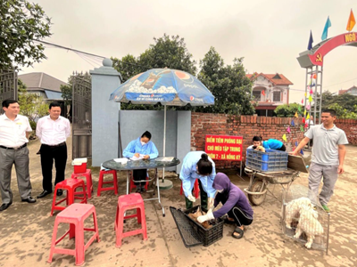 Ba người tại điểm tham quan ở Hà Nội bị chó dại cắn