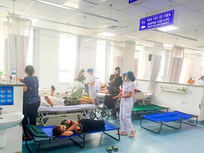 Ăn bánh mỳ "Cô Ba", hơn 130 người nhập viện