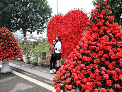 Phát huy giá trị làng nghề qua Festival hoa Mê Linh lần thứ 2