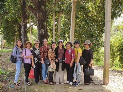 Ngỡ ngàng đàn cá tra 40 tuổi, cây măng cụt hơn trăm tuổi ở huyện Kế Sách