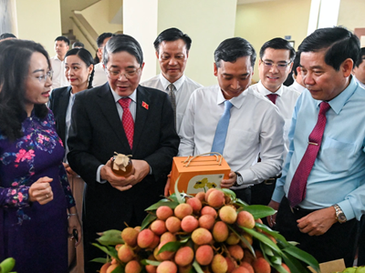 Chủ tịch Bắc Giang viết thư ngỏ lan toả giá trị thương hiệu vải thiều
