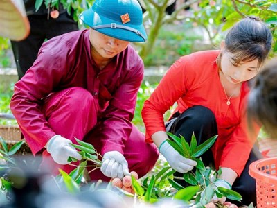 Thúc đẩy du lịch trải nghiệm miệt vườn mùa vải chín