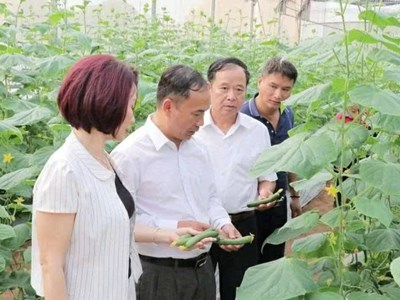 Bắc Ninh: Thúc đẩy liên kết và phát triển nông nghiệp xanh