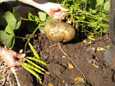 Khẩn trương điều tra, xử lý vụ nghi ngờ ngộ độc thực phẩm tại tỉnh Ninh Bình