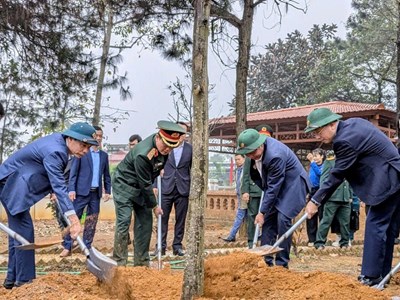 Hà Nội: Việc trồng cây phải đi đôi với chăm sóc, bảo vệ