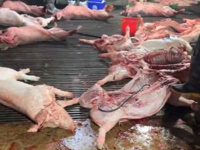 Kiểm tra việc thực hiện quy định an toàn thực phẩm tại Hà Nội và Ninh Bình