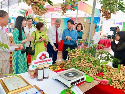 Khai mạc Liên hoan Ẩm thực tỉnh Hưng Yên lần thứ III năm 2026