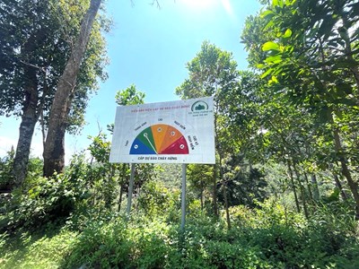 Quảng Nam chủ động phòng ngừa nguy cơ cháy rừng mùa nắng nóng 