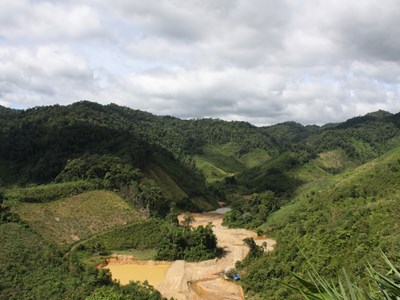 Chia sẻ kinh nghiệm về giữ rừng, phát triển tín chỉ carbon