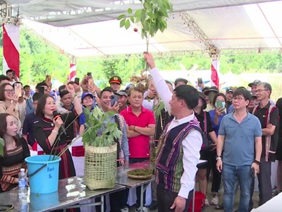 Đấu giá sâm Ngọc Linh ủng hộ kinh phí xóa nhà tạm