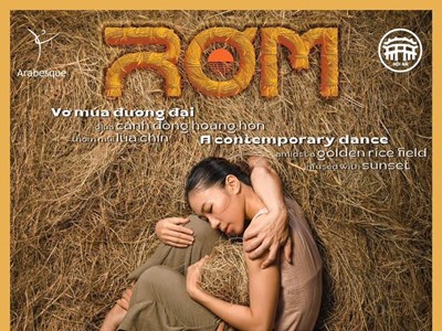 “Rơm” trên cánh đồng lúa chín Hội An
