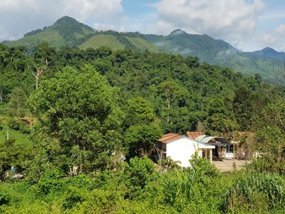 Rừng bác Năm Công mãi xanh 