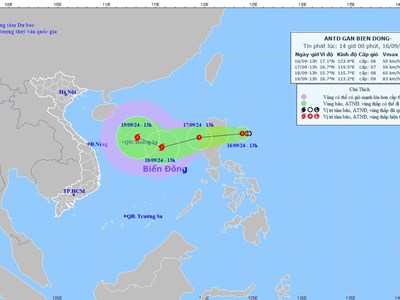 Tập trung ứng phó với áp thấp nhiệt đới