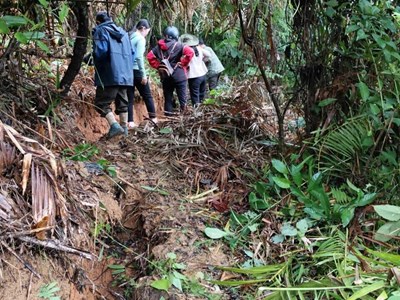 Quảng Nam: Sơ tán khẩn cấp cả thôn vì xuất hiện vết nứt dài trên đồi 