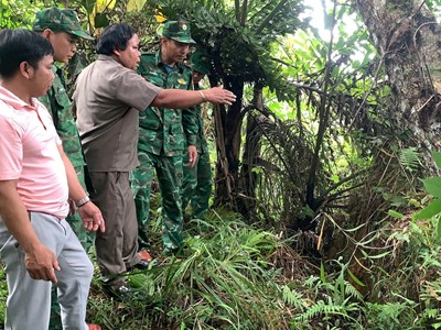 Xuất hiện nhiều vết nứt trên đồi, sơ tán khẩn cấp 9 hộ dân