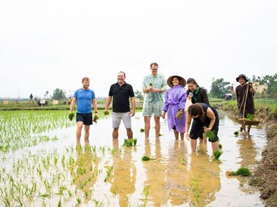 Hội nghị quốc tế về du lịch nông thôn sẽ diễn ra tại Quảng Nam từ ngày 7-12.12