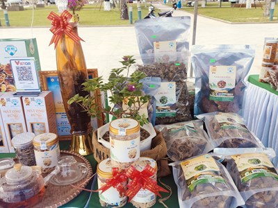 72 gian hàng tham gia Triển lãm chào mừng 50 năm giải phóng tỉnh Quảng Nam