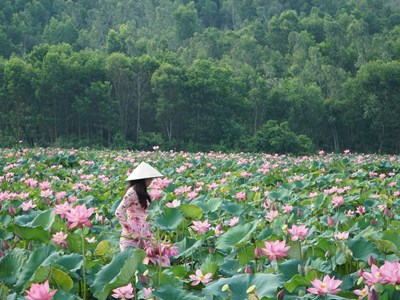 Công bố chương trình ưu đãi 10 tỉ đồng kích cầu du lịch năm 2025