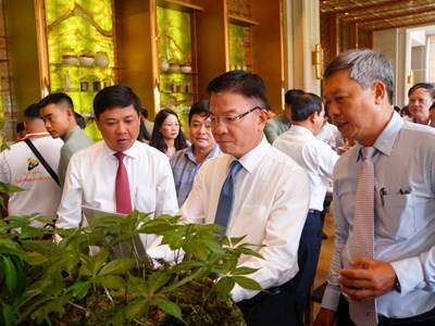 Hình thành trung tâm công nghiệp dược liệu với sâm Ngọc Linh là cây chủ lực