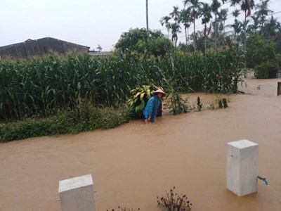 Mưa lớn kéo dài, gần 730 nhà dân bị ngập lụt giữa mùa hè
