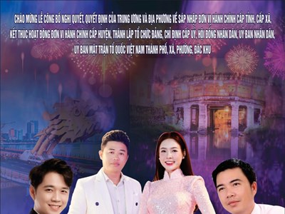 Tổ chức bắn pháo hoa chào mừng thành lập thành phố Đà Nẵng (mới)