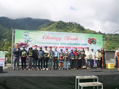 Trao tặng 7.000 cây sâm Ngọc Linh giống giúp đồng bào dân tộc thoát nghèo