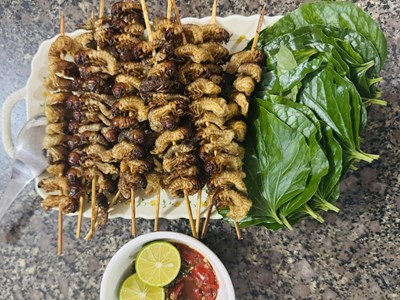 Sùng đất - món ngon ngày mưa của núi rừng Trà Liên