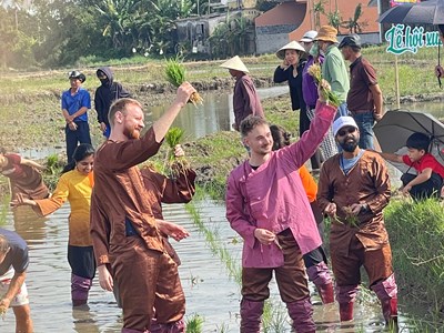 Du khách hào hứng lội ruộng, xuống đồng cấy lúa cùng nông dân 