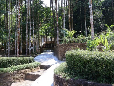 Về Thạnh Bình dạo làng cổ Lộc Yên, ngắm hang Dơi