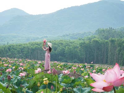 Đà Nẵng dành 500 tỉ đồng phát triển nông nghiệp hữu cơ 