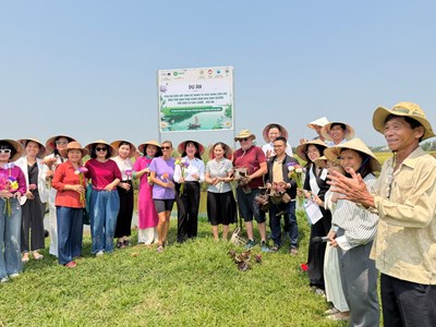 Khởi động dự án phụ nữ dẫn dắt sinh kế xanh từ cây hoa súng 
