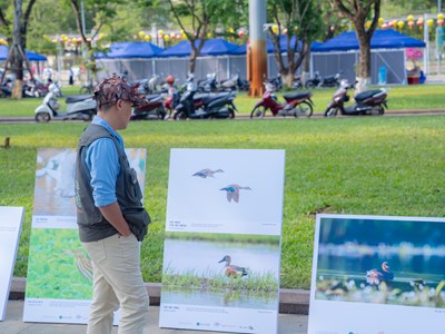Xem triển lãm “Đất lành chim đậu”, hiểu thêm về thiên nhiên
