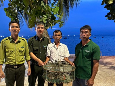 Trăn gấm quý, hiếm được tái thả về rừng Khu Bảo tồn Cù Lao Chàm