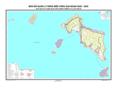 Cù Lao Chàm quản lý rừng theo mô hình “rừng - biển - đảo - cộng đồng