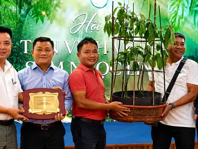 Củ sâm Ngọc Linh hơn 35 năm tuổi được đấu giá 725 triệu đồng