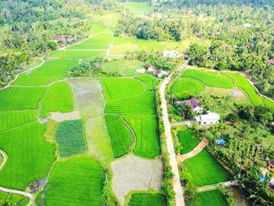 Lộc Yên chuẩn bị mở hội làng, mời du khách về miền hạnh phúc
