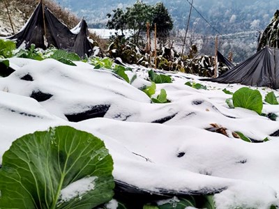 Không phải người cao tuổi, đây mới là nhóm người phải chịu rủi ro âm thầm khi trời rét đậm, rét hại