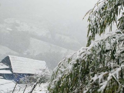 Ngoài mặc đồ giữ ấm tốt, bác sĩ nói có 2 thứ cần đảm bảo để tạo lớp “áo giáp mềm” cho cơ thể: Không sợ đột quỵ, hạ đường huyết!