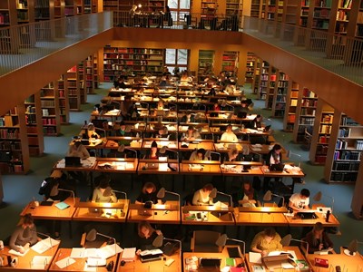 3 nhóm ngành có nhu cầu nhân lực lớn tại Việt Nam năm 2026