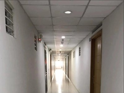 Cô gái “trốn” hàng xóm: Thói quen kỳ lạ nhưng lý do được nhiều người cảm thông