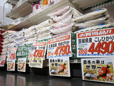 Khi gạo trở thành tâm điểm của chính trường Nhật Bản