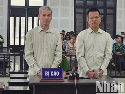 Tổng giám đốc “Vựa miền Trung” lừa đảo chiếm đoạt gần 40 tỷ đồng lãnh án chung thân