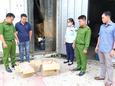 Phát hiện hơn 11 tấn thực phẩm đông lạnh không rõ nguồn gốc